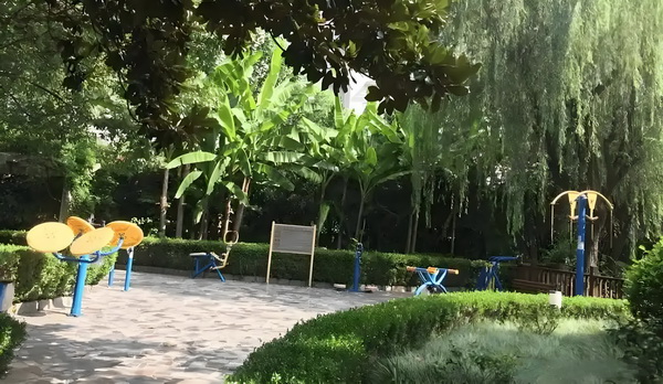 转户口需要什么_5选1？专家为火箭队支招：可追5控卫取代范乔丹！斯通怕漫天要价 为火箭队支卫取代范乔
